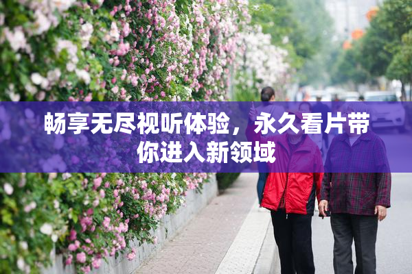 畅享无尽视听体验，永久看片带你进入新领域