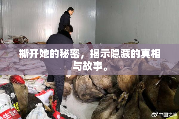 撕开她的秘密，揭示隐藏的真相与故事。