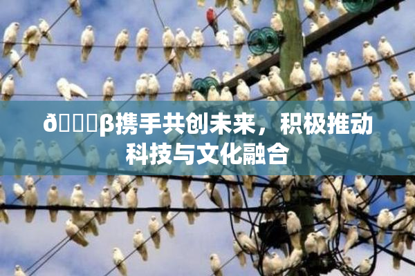 👙β携手共创未来，积极推动科技与文化融合