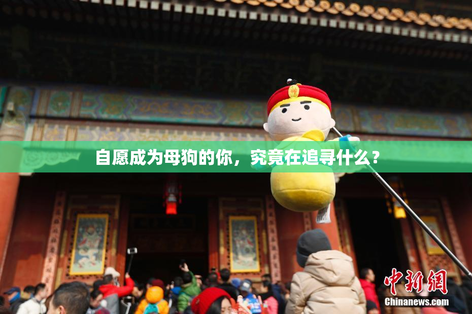 自愿成为母狗的你，究竟在追寻什么？