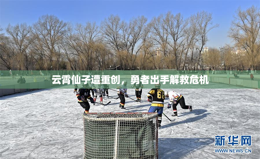 云霄仙子遭重创，勇者出手解救危机