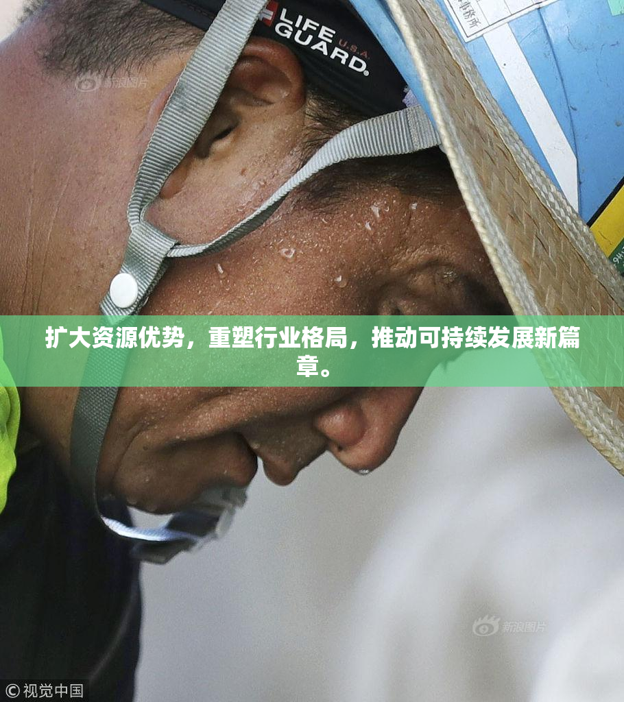 扩大资源优势，重塑行业格局，推动可持续发展新篇章。