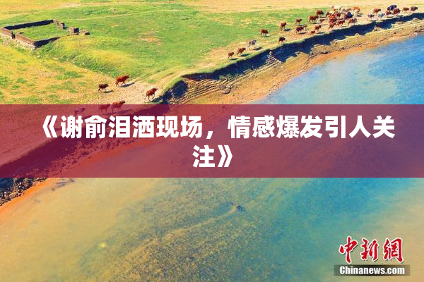 《谢俞泪洒现场，情感爆发引人关注》