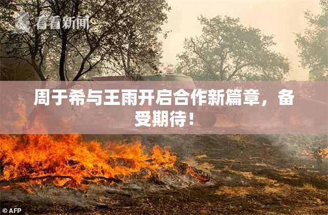 周于希与王雨开启合作新篇章，备受期待！