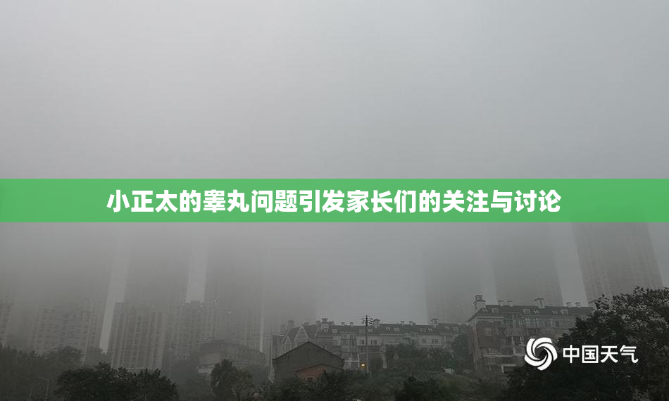 小正太的睾丸问题引发家长们的关注与讨论