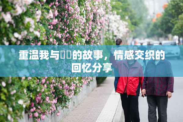 重温我与妺妺的故事，情感交织的回忆分享