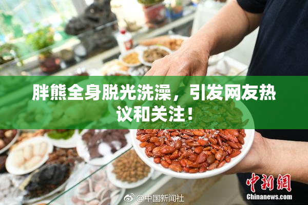 胖熊全身脱光洗澡，引发网友热议和关注！