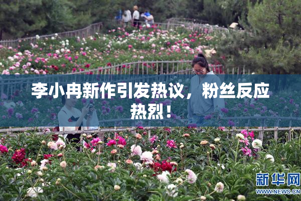 李小冉新作引发热议，粉丝反应热烈！