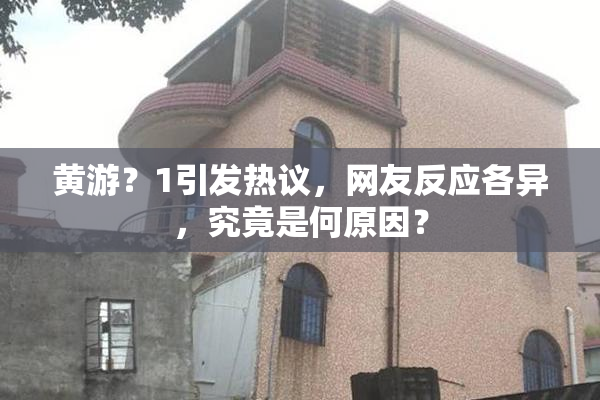 黄游？1引发热议，网友反应各异，究竟是何原因？