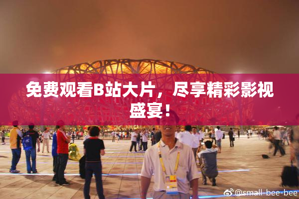 免费观看B站大片，尽享精彩影视盛宴！