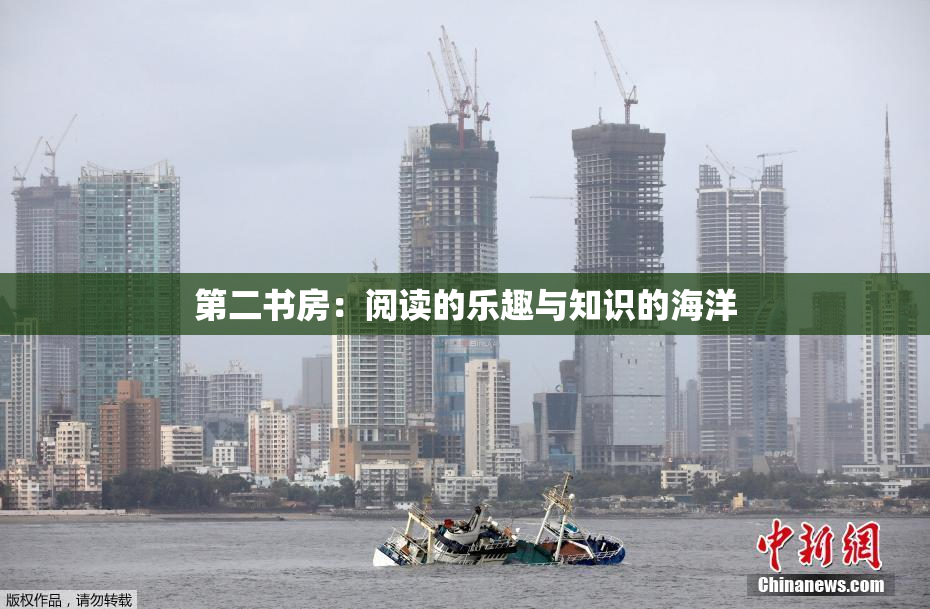 第二书房：阅读的乐趣与知识的海洋