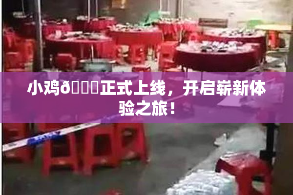 小鸡🐔正式上线，开启崭新体验之旅！