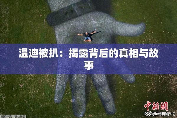 温迪被扒：揭露背后的真相与故事
