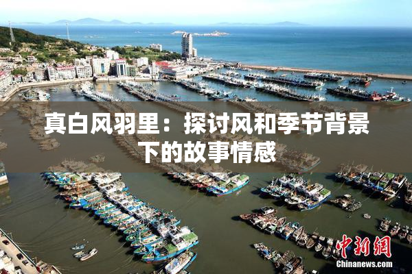 真白风羽里：探讨风和季节背景下的故事情感