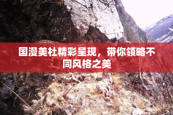 国漫美杜精彩呈现，带你领略不同风格之美