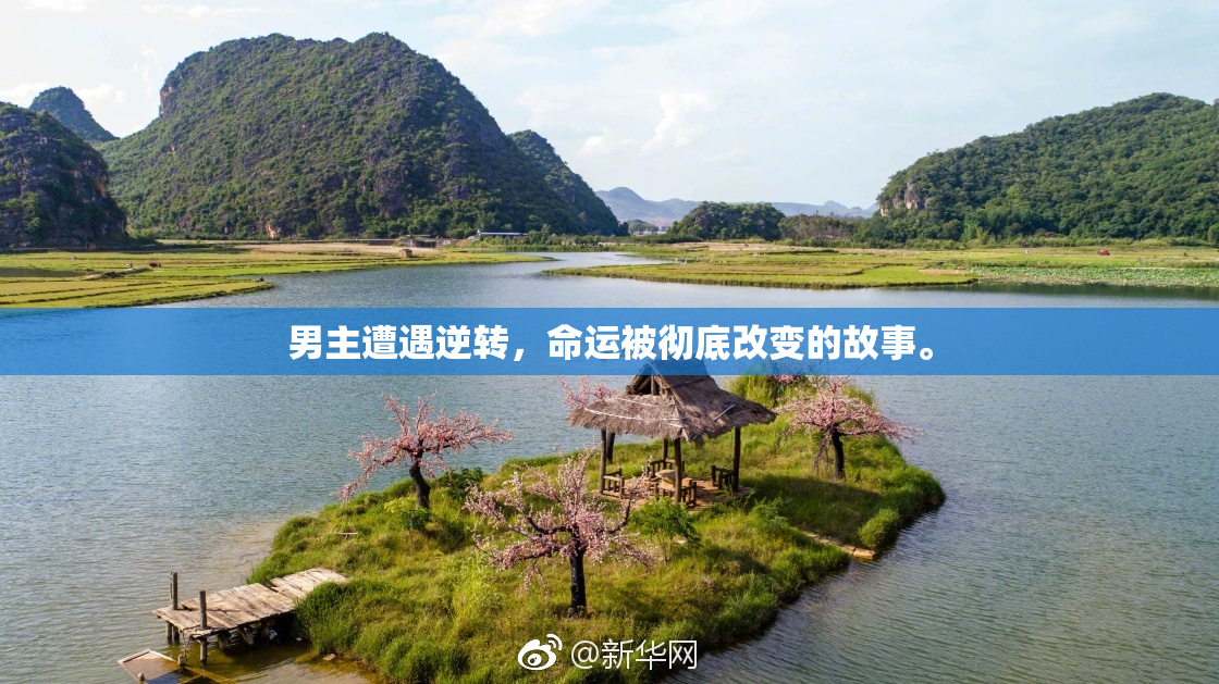 男主遭遇逆转，命运被彻底改变的故事。