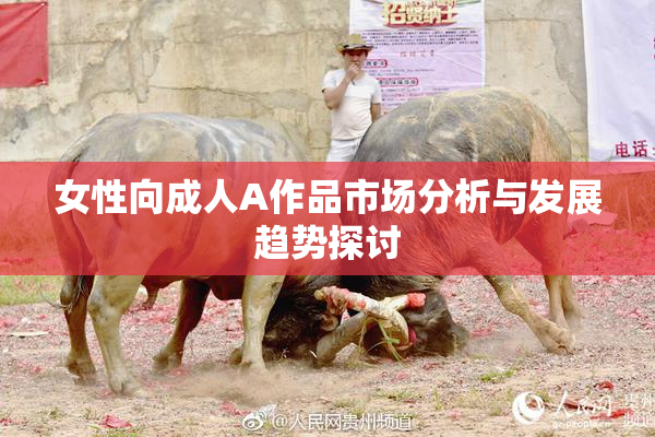 女性向成人A作品市场分析与发展趋势探讨