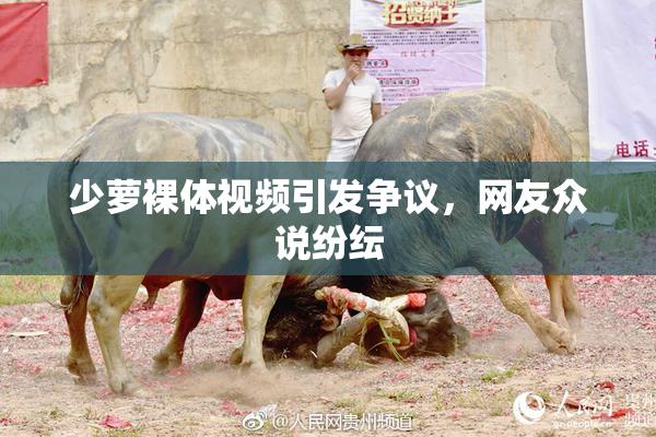 少萝裸体视频引发争议，网友众说纷纭
