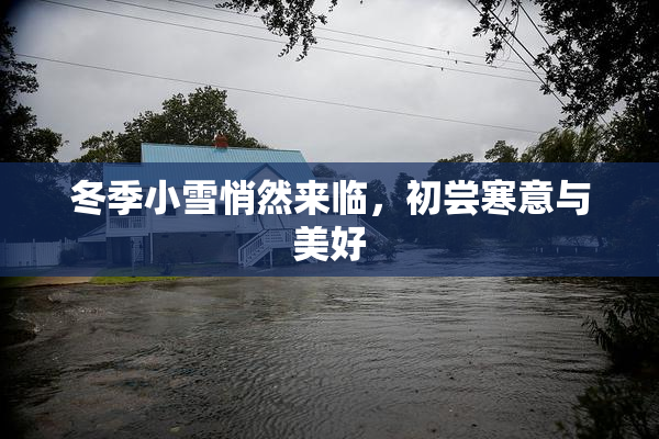 冬季小雪悄然来临，初尝寒意与美好