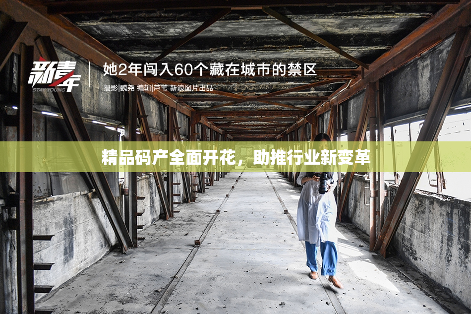 精品码产全面开花，助推行业新变革