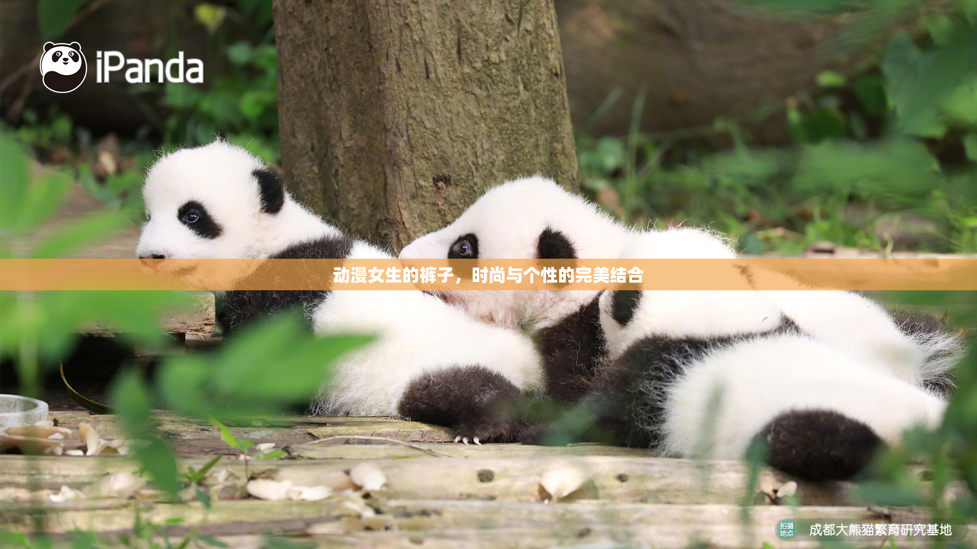 动漫女生的裤子，时尚与个性的完美结合