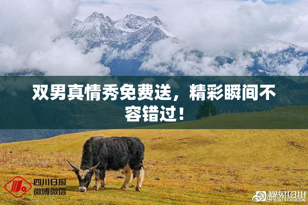 双男真情秀免费送，精彩瞬间不容错过！