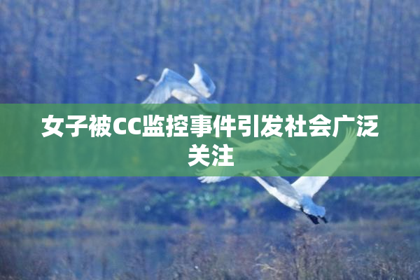女子被CC监控事件引发社会广泛关注