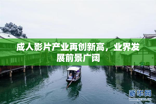 成人影片产业再创新高，业界发展前景广阔
