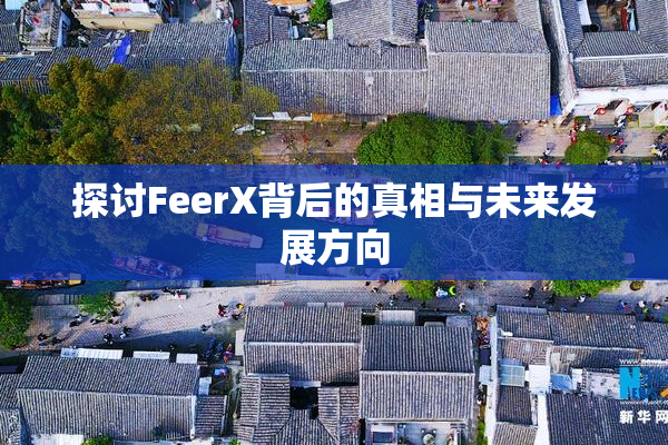 探讨FeerX背后的真相与未来发展方向