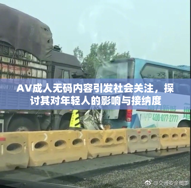 AV成人无码内容引发社会关注，探讨其对年轻人的影响与接纳度