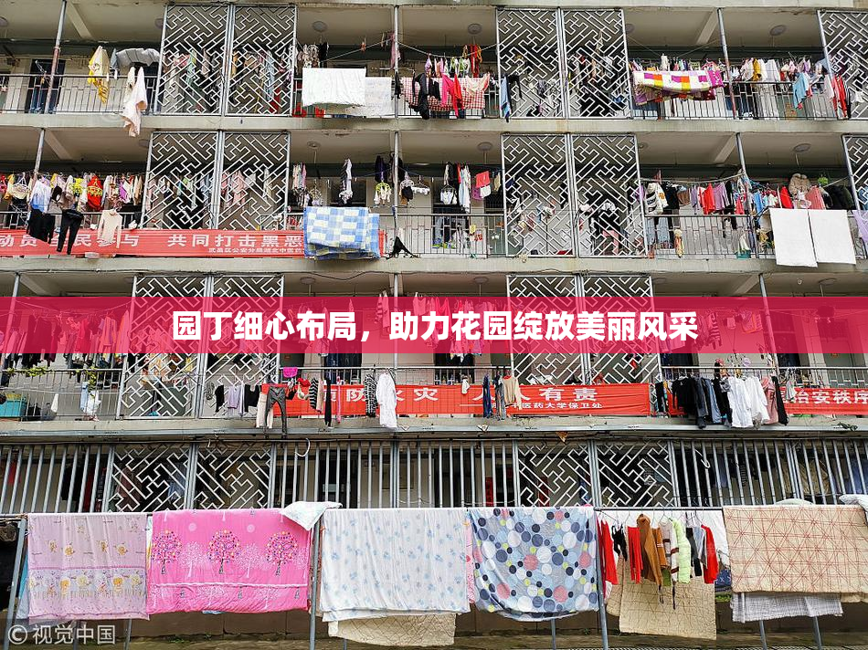 园丁细心布局，助力花园绽放美丽风采