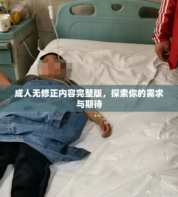 成人无修正内容完整版，探索你的需求与期待