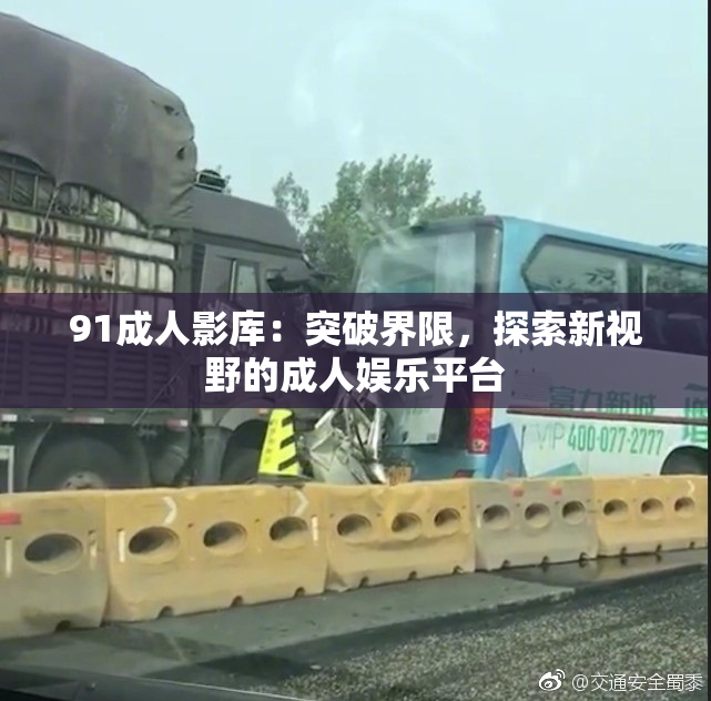 91成人影库：突破界限，探索新视野的成人娱乐平台