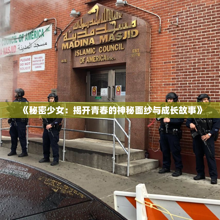 《秘密少女：揭开青春的神秘面纱与成长故事》