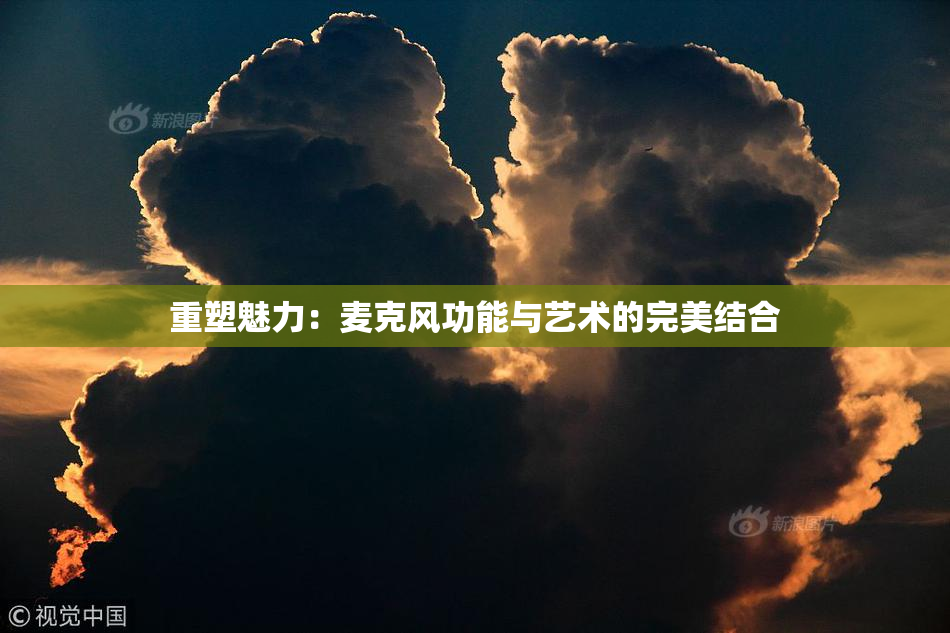 重塑魅力：麦克风功能与艺术的完美结合