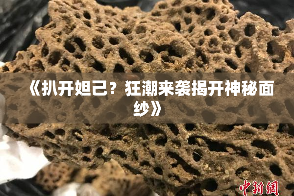 《扒开妲己？狂潮来袭揭开神秘面纱》