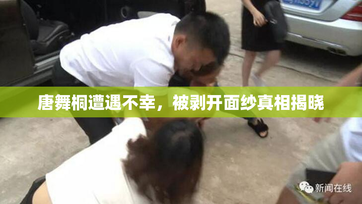 唐舞桐遭遇不幸，被剥开面纱真相揭晓