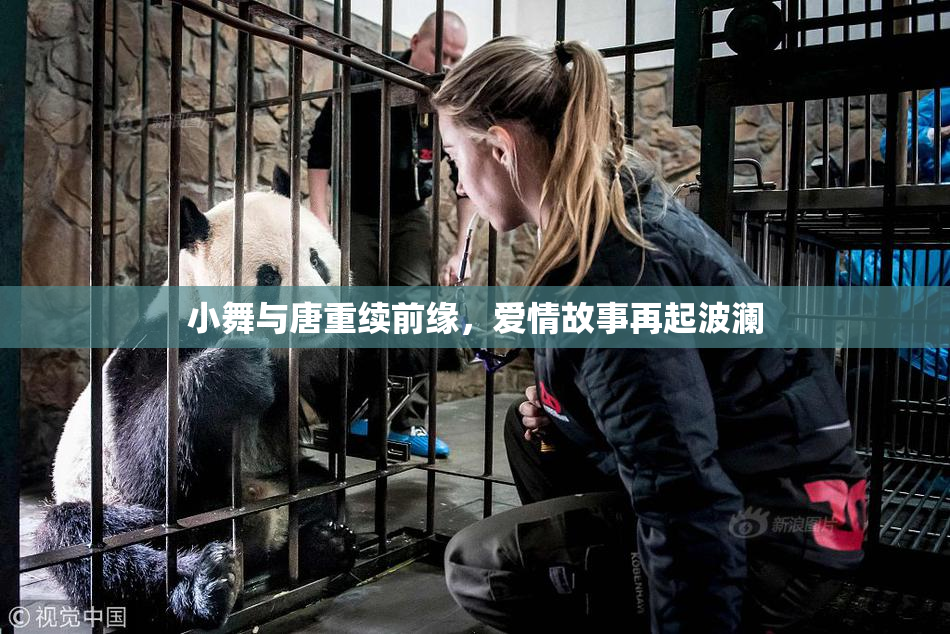 小舞与唐重续前缘，爱情故事再起波澜