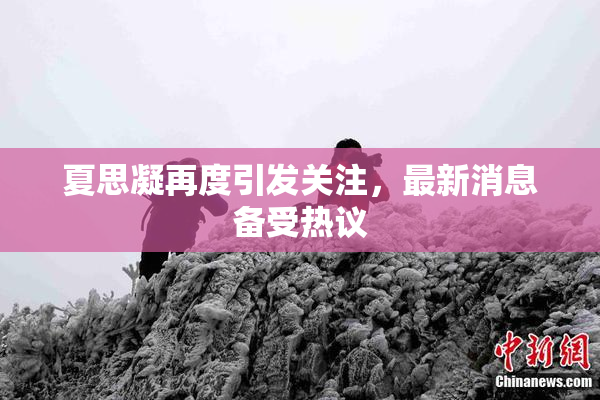 夏思凝再度引发关注，最新消息备受热议