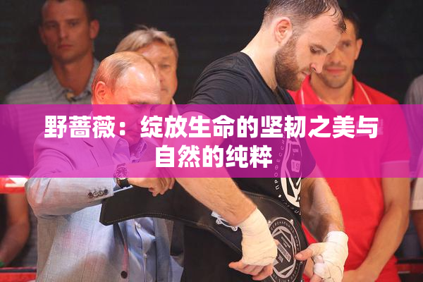 野蔷薇：绽放生命的坚韧之美与自然的纯粹