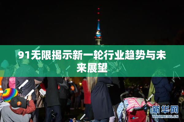 91无限揭示新一轮行业趋势与未来展望