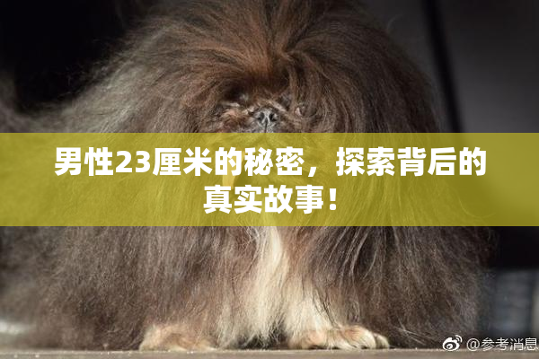 男性23厘米的秘密，探索背后的真实故事！