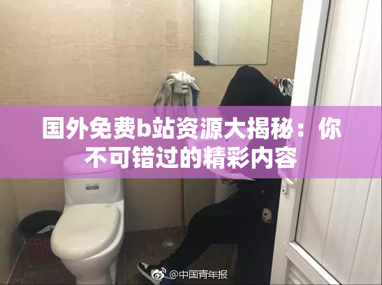 国外免费b站资源大揭秘：你不可错过的精彩内容