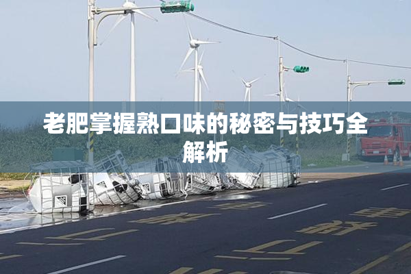 老肥掌握熟口味的秘密与技巧全解析