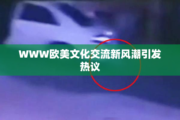 WWW欧美文化交流新风潮引发热议