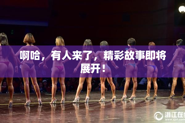 啊哈，有人来了，精彩故事即将展开！