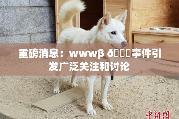 重磅消息：wwwβ 👙事件引发广泛关注和讨论