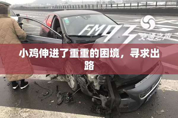 小鸡伸进了重重的困境，寻求出路