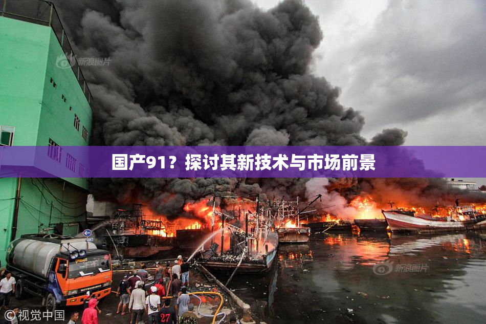 国产91？探讨其新技术与市场前景