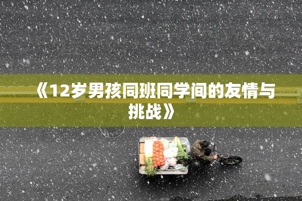 《12岁男孩同班同学间的友情与挑战》